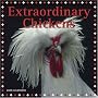 Extraordinary Chickens 2008 Calendar (Wall Calendar)
