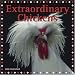 Extraordinary Chickens 2008 Wall Calendar