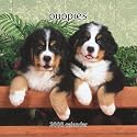 Puppies 2008 Mini Wall Calendar (German, French, Spanish and English Edition)