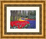 Picture Frame Gold w/ Compo .. 3.75'' wide
