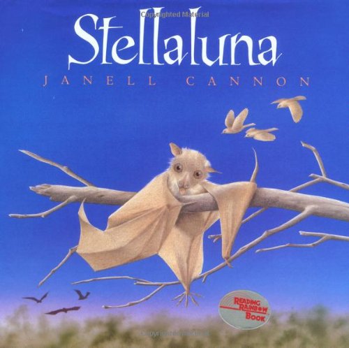 amazon : Stellaluna