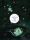 The alternative guide to the universe
