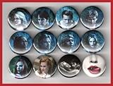 True Blood Set of 12 - 1 Inch Magnets