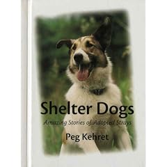 Shelter Dogs: Amazing Stories Of Adopted Strays