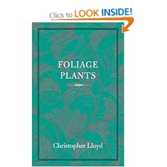 Foliage Plants