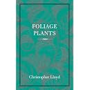 Foliage Plants