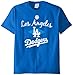 MLB Los Angeles Dodgers Men's 58T Tee, Royal, Large