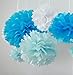 10pcs Tissue Hanging Paper Pom-poms Flower Ball Wedding Party Outdoor Decoration, Hmxpls Premium Tissue Paper Pom Pom Flowers Craft Kit(Blue)