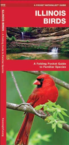 Illinois Birds: A Folding Pocket Guide to Familiar Species (Pocket Naturalist Guide Series)