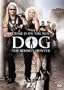 Dog the Bounty Hunter: Crime is on the Run