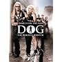 Dog the Bounty Hunter: Crime is on the Run