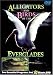 Alligators & Birds of the Everglades