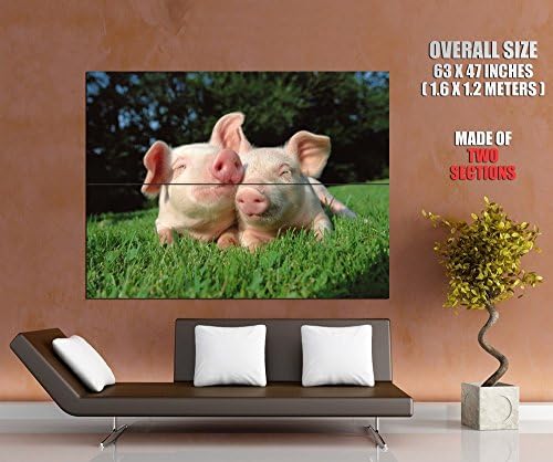 Cute Small Pink Pigs Animal Print POSTER GIGANTIC SIZE 63x47 inches (160x120 cm) - made of 2 sections