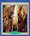Book Termites (True Books)
