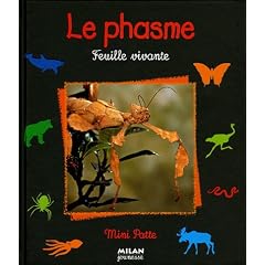 Le phasme : Feuille vivante