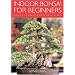 Indoor Bonsai for Beginners: Selection Care Training