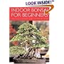 Indoor Bonsai for Beginners: Selection  Care  Training