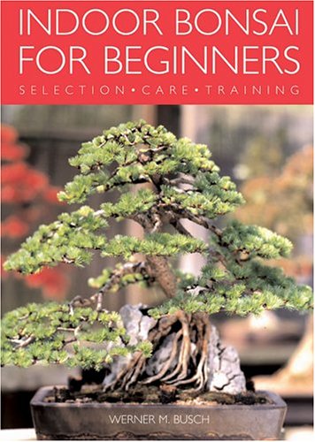 Indoor Bonsai for Beginners: Selection  Care  Training
