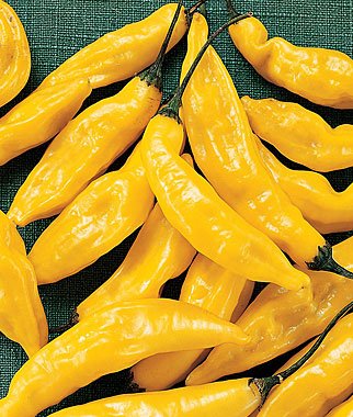 Pepper, Hot Lemon 1 Pkt. (30 seeds)