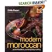 Modern Moroccan