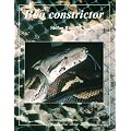 Boa constrictor