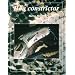 Boa constrictor