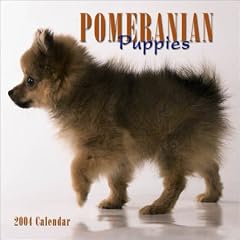 Pomeranian Puppies Mini Wall Calendar: 2004