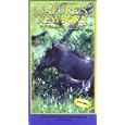 Nature's Newborn: Waterhog - Kudu - Waterbuck [VHS] by 