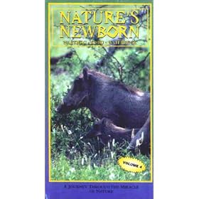 Nature's Newborn: Waterhog - Kudu - Waterbuck [VHS]