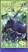 Nature's Newborn: Waterhog - Kudu - Waterbuck [VHS]