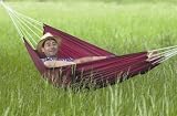 Eigenschaften Amazonas EL-1955100 / Amazonas EL-1955100 Mini-Maca Hängematte, Belastbarkeit 90kg, Liegefläsche 200 x 120cm
