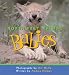 Northwest Animal Babies