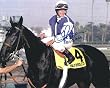Julie Krane Autographed Jockey 8x10 Photo