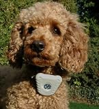 BARK STOP CONTROL COLLAR/ TRAIN YOUR DOG THE HUMANE WAY