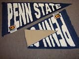 Blue & Orange University of Florida Gators Plush Pennant Area Rug / Floor Mat