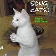 Song Cats!: I Say A Little Prayer