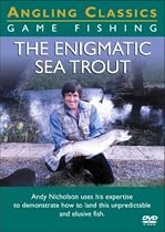 The Enigmatic Sea Trout