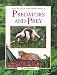 Predators and Prey (Secrets of the Rainforest)