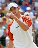Andy Roddick Art Poster PRINT Unknown 11x14