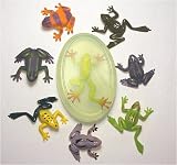 Frog critter soap