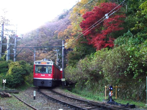 マルチ運転室展望 箱根登山鉄道 [DVD]