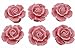 Tecrio 10pcs-Pack Ceramic Vintage Floral Rose Dresser Closet Kitchen Cupboard Deawer Knobs Handle Decor Pulls w/ Screws (Pink)