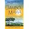 Be immersed in Africa