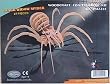 Black Widow Spider 3D Woodcraft Construction Kit