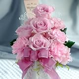 �v���U�[�u�h�t�����[�@�v�������[�h �s���N
