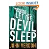 Let the Devil Sleep (Dave Gurney 3)