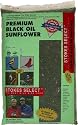 Stokes Select STK5434-20 Premium Black Oil Sunflower (20 lbs)