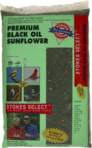 Stokes Select STK5434-20 Premium Black Oil Sunflower (20 lbs)
