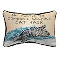 No Outfit Complete - Cat Hair