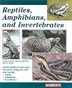 Reptiles, Amphibians, and Invertebrates: An Identification and Care Guide